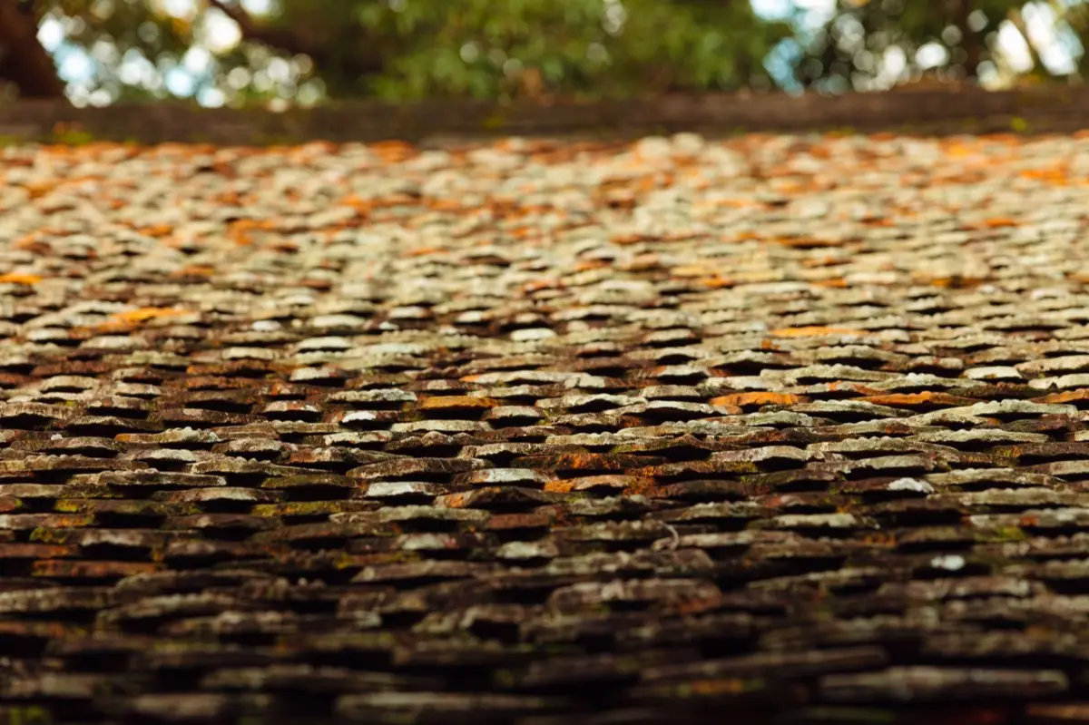 Aging shingle roof with moss growth and granule loss in Lake Havasu City, AZ